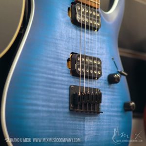 Ibanez RGA42FM-BLF električna gitara sa vidljivim flame javorovim furnirom i prirodnim finišom drveta.