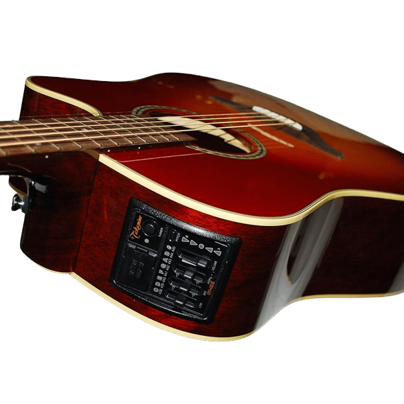 Takamine EF300NCS Akustična ozvučena gitara Dreadnought oblik tela