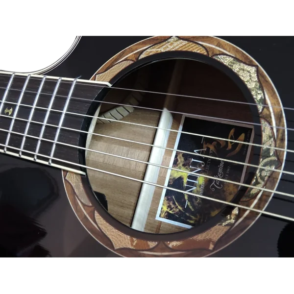 Takamine NINJA LTD Akustična ozvučena gitara