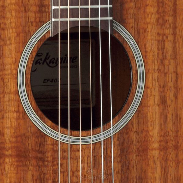 Takamine EF407 Akustična ozvučena gitara New Yorker telo - Slika 3