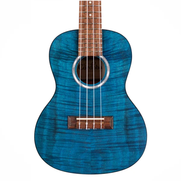 Cordoba 15CFM Ukulele Boja Sapphire Blue