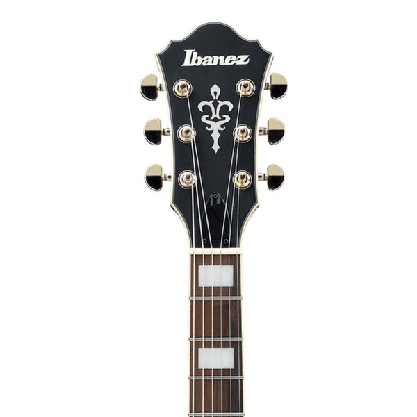 Ibanez AS73G-BKF Električna gitara