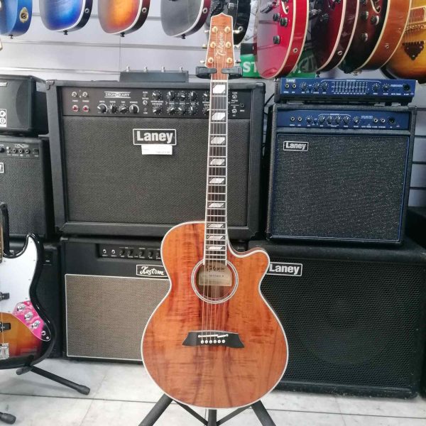 Gitara Takamine TSP178ACKN