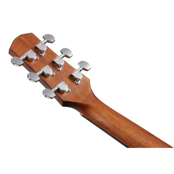 Ibanez AAD50-LG Akustična neozvučena gitara