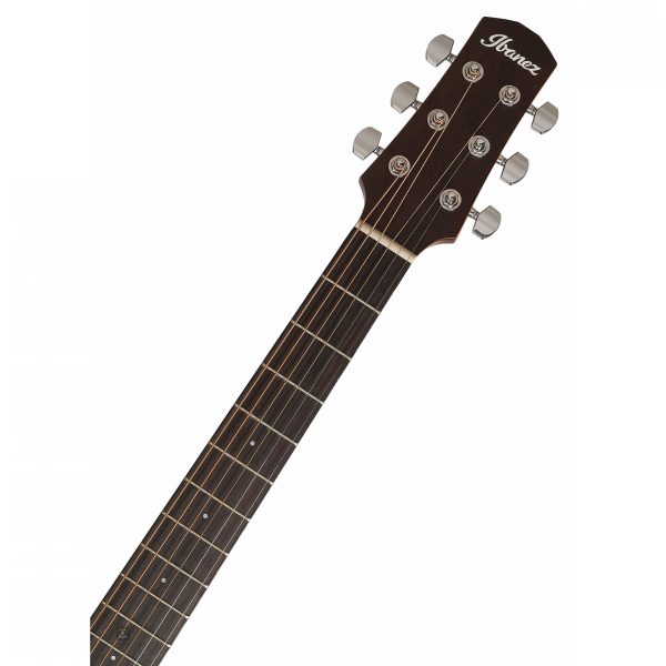 Ibanez AAD50-LG Akustična neozvučena gitara