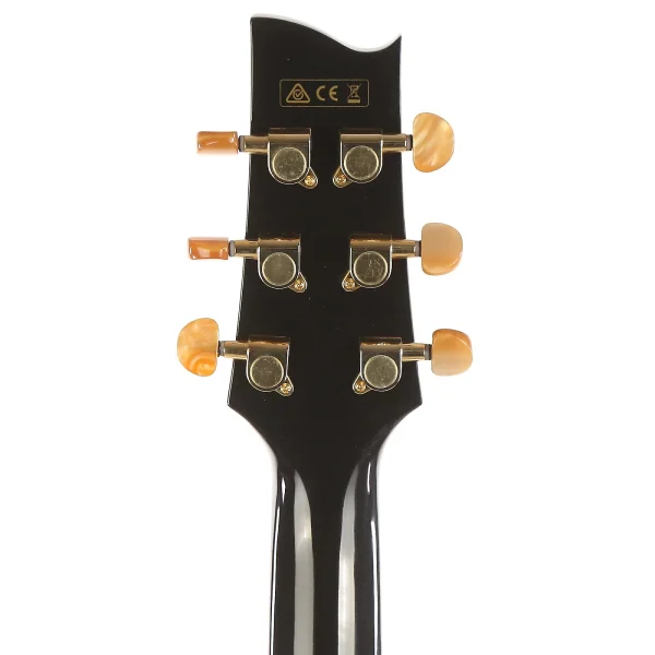 Ibanez EP5-BP Akustična Steve Vai signature gitara - Slika 5