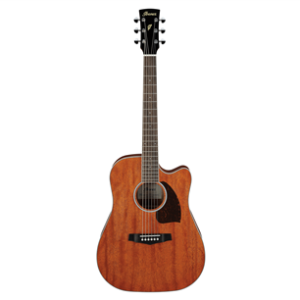 Ibanez PF16MWCE-OPN elektroakustična gitara u Open Pore Natural finišu