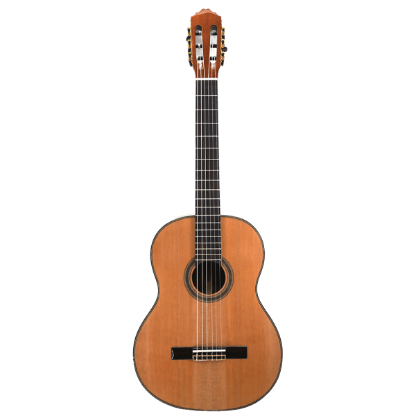 Klasična akustična gitara Wakertone W-08, puno drvo, model za početnike i učenike