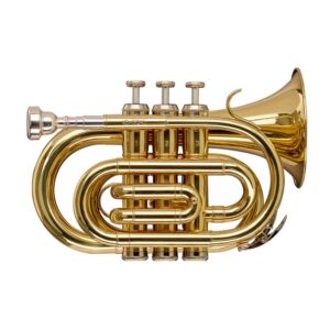 Stagg WS-TR245S Bb džepna truba u setu sa koferom